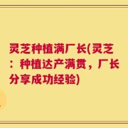 灵芝种植满厂长(灵芝：种植达产满贯，厂长分享成功经验)