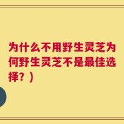 为什么不用野生灵芝为何野生灵芝不是最佳选择？)
