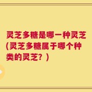 灵芝多糖是哪一种灵芝(灵芝多糖属于哪个种类的灵芝？)