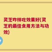 灵芝咋样吃效果好(灵芝的最佳食用方法与功效)