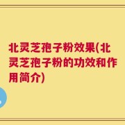 北灵芝孢子粉效果(北灵芝孢子粉的功效和作用简介)