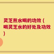 灵芝煎水喝的功效 (喝灵芝水的好处及功效)