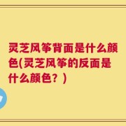 灵芝风筝背面是什么颜色(灵芝风筝的反面是什么颜色？)