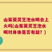 山茱萸灵芝泡水喝会上火吗(山茱萸灵芝泡水喝对身体是否有益？)