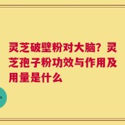 灵芝破壁粉对大脑？灵芝孢子粉功效与作用及用量是什么