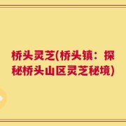 桥头灵芝(桥头镇：探秘桥头山区灵芝秘境)