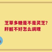 芝草多糖是不是灵芝？肝脏不好怎么调理