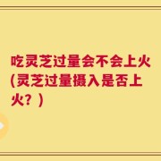 吃灵芝过量会不会上火(灵芝过量摄入是否上火？)