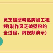 灵芝破壁粉贴牌加工视频(制作灵芝破壁粉的全过程，附视频演示)