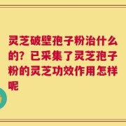 灵芝破壁孢子粉治什么的？已采集了灵芝孢子粉的灵芝功效作用怎样呢