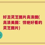 好丑灵芝图片高清图(高清美图：惊艳好看的灵芝图片)