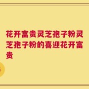 花开富贵灵芝孢子粉灵芝孢子粉的喜迎花开富贵
