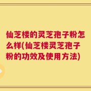 仙芝楼的灵芝孢子粉怎么样(仙芝楼灵芝孢子粉的功效及使用方法)