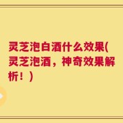 灵芝泡白酒什么效果(灵芝泡酒，神奇效果解析！)