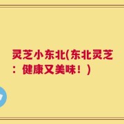 灵芝小东北(东北灵芝：健康又美味！)