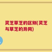 灵芝草芝的区别(灵芝与草芝的异同)