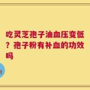 吃灵芝孢子油血压变低？孢子粉有补血的功效吗