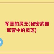 军营的灵芝(秘密武器 军营中的灵芝)