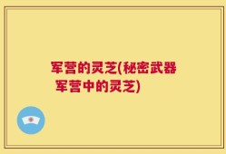 军营的灵芝(秘密武器 军营中的灵芝)