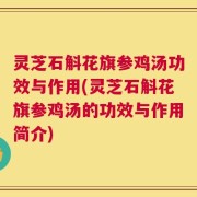 灵芝石斛花旗参鸡汤功效与作用(灵芝石斛花旗参鸡汤的功效与作用简介)