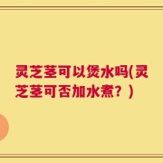 灵芝茎可以煲水吗(灵芝茎可否加水煮？)