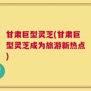 甘肃巨型灵芝(甘肃巨型灵芝成为旅游新热点)