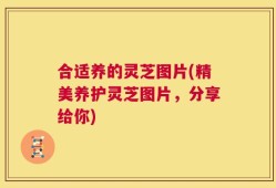 合适养的灵芝图片(精美养护灵芝图片，分享给你)