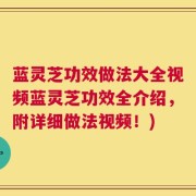 蓝灵芝功效做法大全视频蓝灵芝功效全介绍，附详细做法视频！)