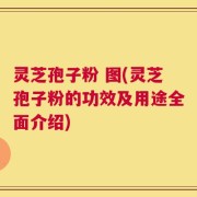 灵芝孢子粉 图(灵芝孢子粉的功效及用途全面介绍)