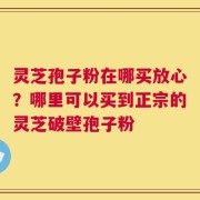 灵芝孢子粉在哪买放心？哪里可以买到正宗的灵芝破壁孢子粉