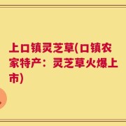 上口镇灵芝草(口镇农家特产：灵芝草火爆上市)