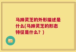 马蹄灵芝的外形描述是什么(马蹄灵芝的形态特征是什么？)