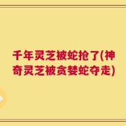 千年灵芝被蛇抢了(神奇灵芝被贪婪蛇夺走)