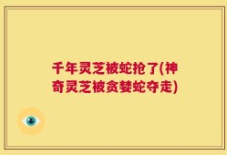 千年灵芝被蛇抢了(神奇灵芝被贪婪蛇夺走)