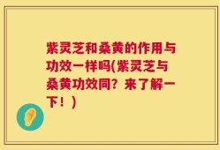 紫灵芝和桑黄的作用与功效一样吗(紫灵芝与桑黄功效同？来了解一下！)