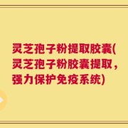 灵芝孢子粉提取胶囊(灵芝孢子粉胶囊提取，强力保护免疫系统)