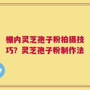 棚内灵芝孢子粉拍摄技巧？灵芝孢子粉制作法