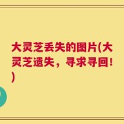 大灵芝丢失的图片(大灵芝遗失，寻求寻回！)