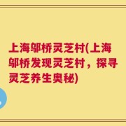 上海邬桥灵芝村(上海邬桥发现灵芝村，探寻灵芝养生奥秘)