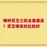 哪种灵芝三萜含量最高？灵芝哪家的比较好