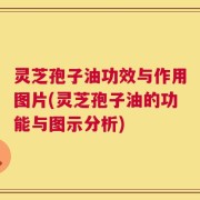 灵芝孢子油功效与作用图片(灵芝孢子油的功能与图示分析)