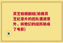 灵芝拍摄剧组(拍摄灵芝纪录片的团队遭遇意外，将他们的经历拍成了电影)