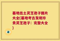 墓地出土灵芝孢子图片大全(墓地考古发现珍贵灵芝孢子：完整大全)