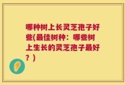 哪种树上长灵芝孢子好些(最佳树种：哪些树上生长的灵芝孢子最好？)