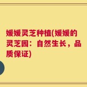媛媛灵芝种植(媛媛的灵芝园：自然生长，品质保证)