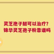 灵芝孢子腿可以治疗？锦华灵芝孢子粉靠谱吗