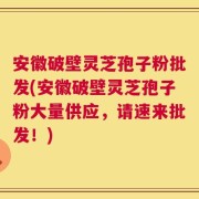 安徽破壁灵芝孢子粉批发(安徽破壁灵芝孢子粉大量供应，请速来批发！)
