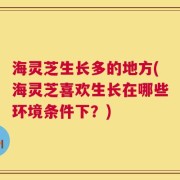 海灵芝生长多的地方(海灵芝喜欢生长在哪些环境条件下？)