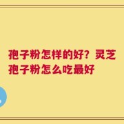 孢子粉怎样的好？灵芝孢子粉怎么吃最好
