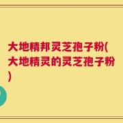 大地精邦灵芝孢子粉(大地精灵的灵芝孢子粉)